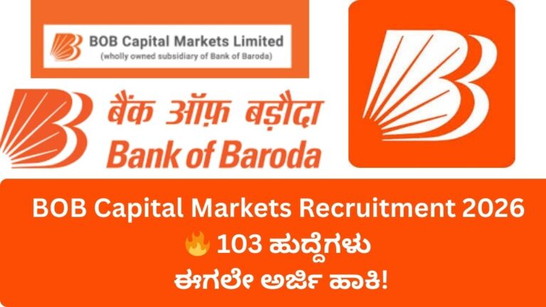 BOB Capital Markets Recruitment 2026